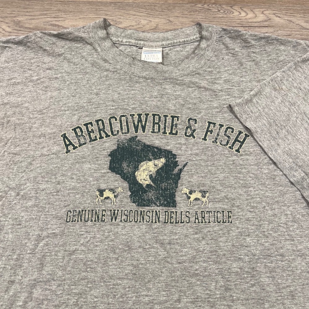 Vintage Abercowbie & Fish Wisconsin Dells Parody Graphic Tee Gray XL
